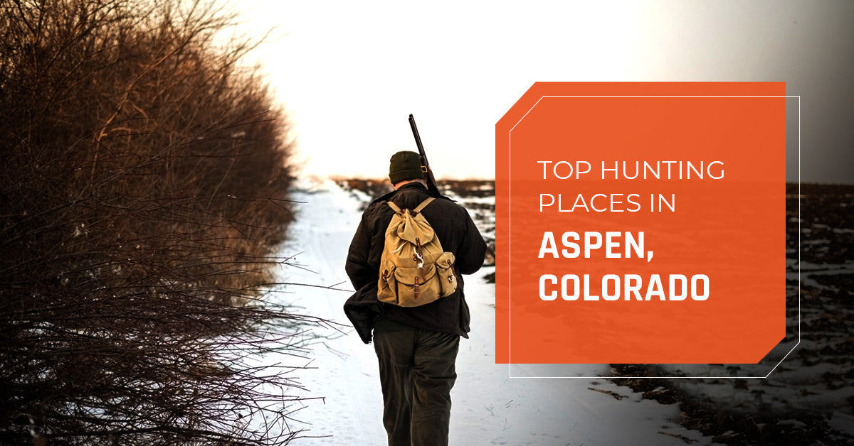 Top Hunting Places in Aspen, Colorado