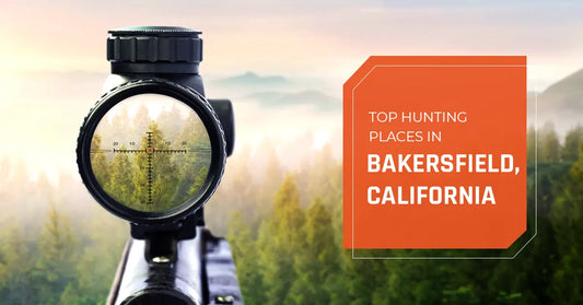 Top Hunting Places in Bakersfield, California 