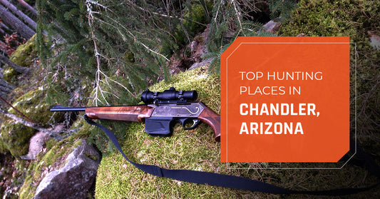 Top Hunting Places Near Chandler, Arizona
