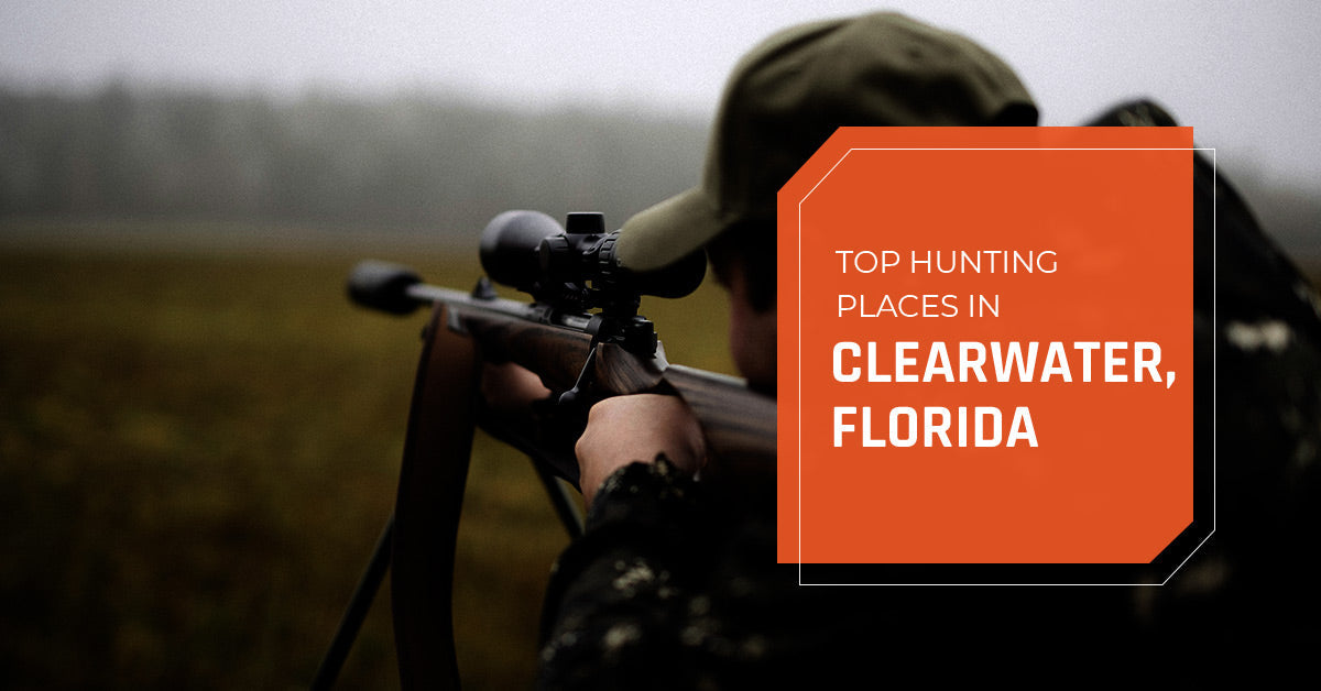 Top Hunting Place in Clearwater, Florida