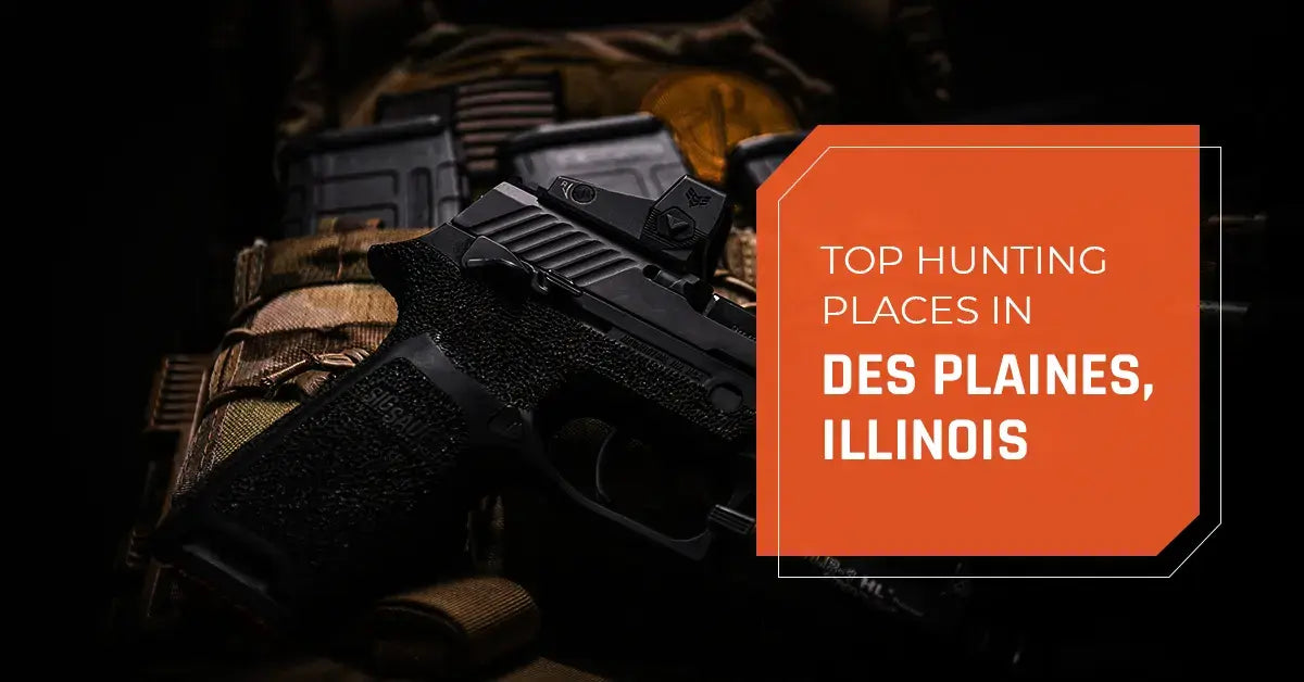 Top Hunting Places in Des Plaines, Illinois