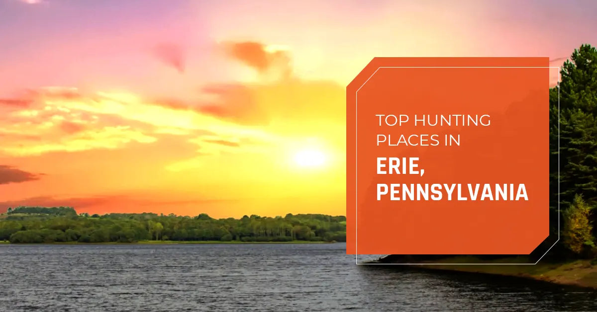 Top Hunting Places in Erie, Pennsylvania