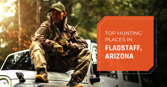 Top Hunting Places Near Flagstaff, Arizona