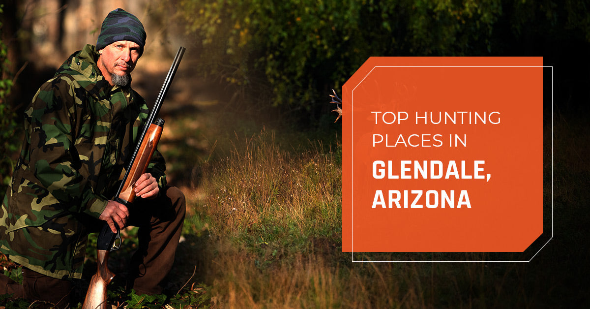 Top Hunting Places in Glendale, Arizona
