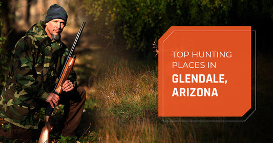 Top Hunting Places in Glendale, Arizona