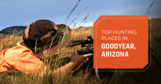 Top Hunting Places in Goodyear, Arizona