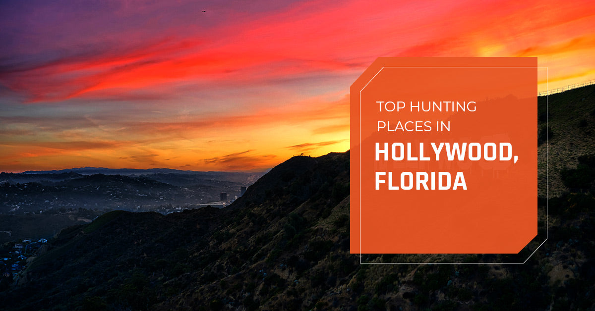 Top Hunting Place in Hollywood, Florida