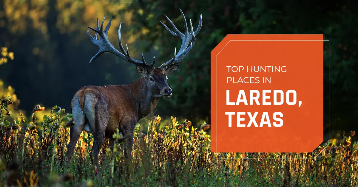 Top Hunting Places in Laredo, Texas 