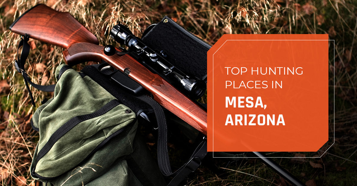 Top Hunting Places in Mesa, Arizona