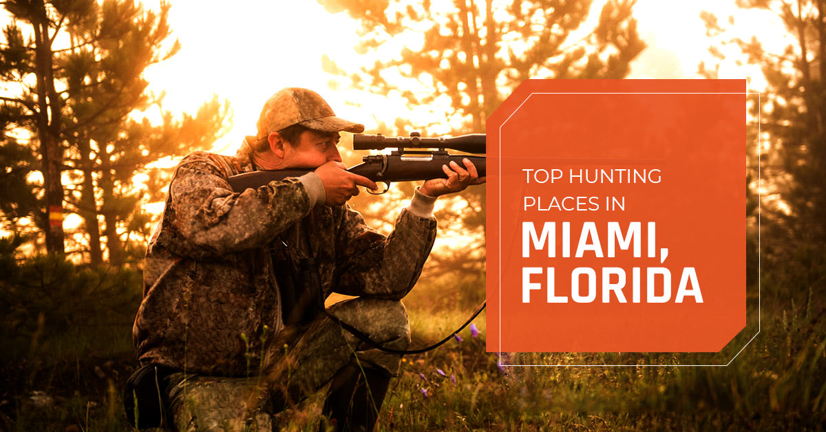 Top Hunting Place in Miami, Florida