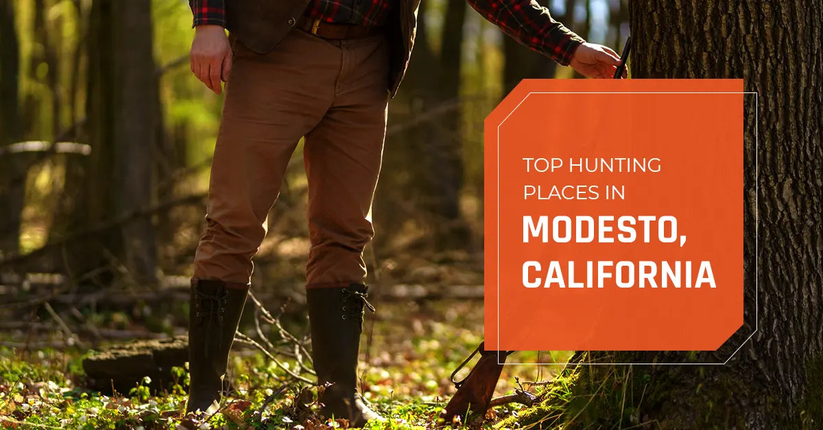 Top Hunting Places in Modesto, California 