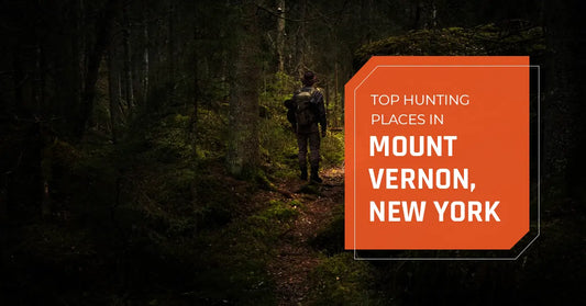 Top Hunting Place in Mount Vernon, New York