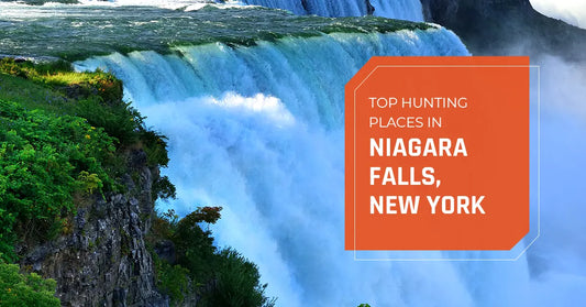 Top Hunting Place in Niagara Falls, New York