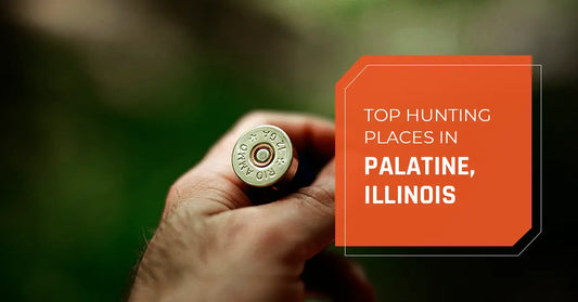 Top Hunting Places in Palatine, Illinois
