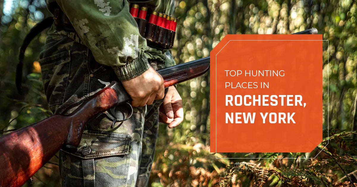 Top Hunting Places in Rochester, New York