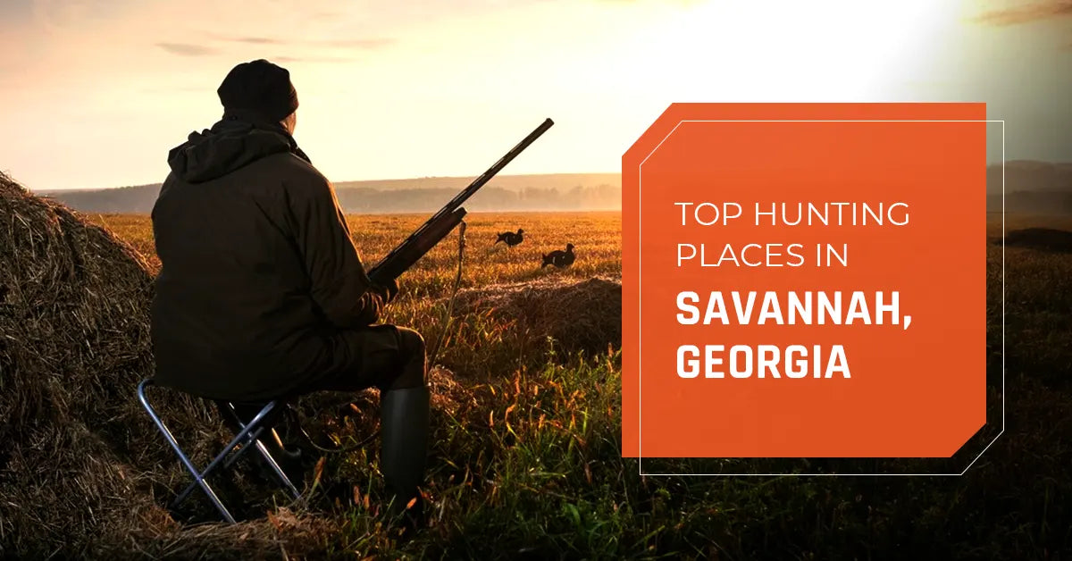 Top Hunting Places in Savannah, Georgia