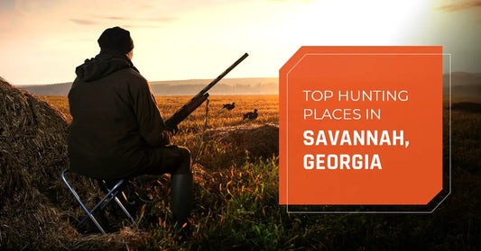 Top Hunting Places in Savannah, Georgia