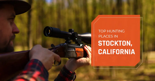 Top Hunting Places in Stockton, California