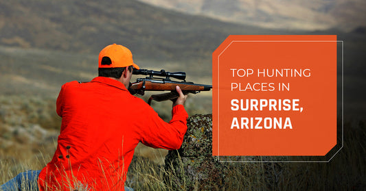 Top Hunting Places in Surprise, Arizona
