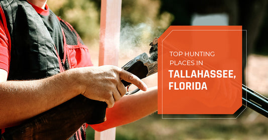 Top Hunting Places in Tallahassee, Florida