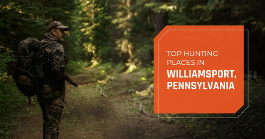 Top Hunting Places in Williamsport, Pennsylvania